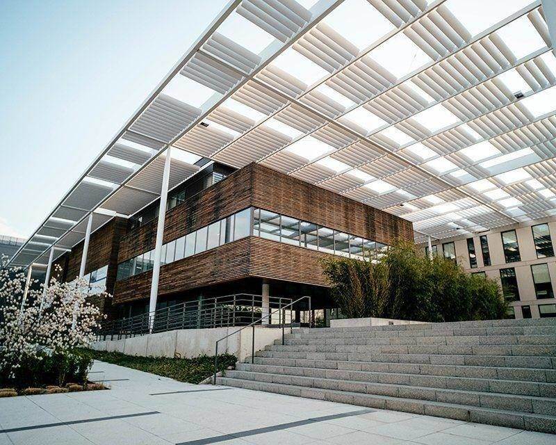 Company Registration & Compliance